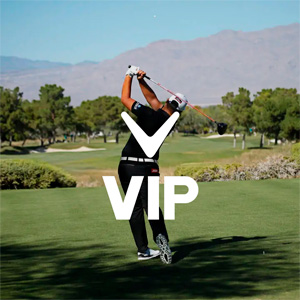 vip-thumbnail vip-thumbnail